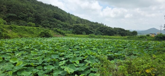 KakaoTalk_20260714_145519200