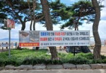 집중호우 뒤 강화 해안서 목함지뢰 잇따라 발견…강화군, 주민·관광객 안전관리 강화